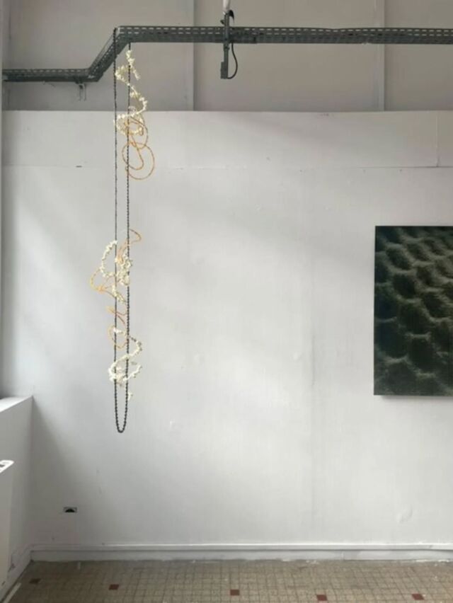 En images les œuvres de Salomé Botella @salomebotella lauréate du prix agnès b. 2025 et Léonard Berthou @leonard.berthou lauréat du Prix @thaddaeusropac 2025 pour les #amisdesbeauxartsdeparis
au @doc_wooork visible jusqu'à 5 octobre @doc.expo @phemes.blabla
@folle_beton

Photo @elodie_cazes

#artcontemporain #artcontemporain #artist ##amisdesbeauxartsdeparis #beauxartsparis #fineart