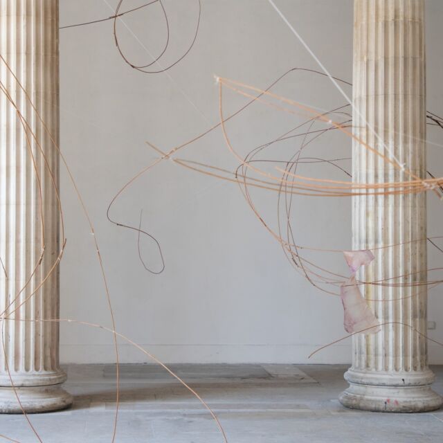 FOCUS SUR LES LAURÉATS DES PRIX DES AMIS 2026
Alexandra Willis @alex_willlis_ lauréate du Prix François Masson décerné par  Fondation Louis le Masson et François Masson, hébergée par
l'@academiedesbeauxarts

Alexandra Willis est en 5éme année dans les ateliers Creuzet, Allouche et Esquerre. Franco-anglaise, elle est née à Londres et basée à Paris Beaux-Arts de Paris 
Après avoir obtenu en 2021 un Master en Chimie avec les félicitations du jury à l’Université d’Oxford, elle poursuit ses études aux Beaux-Arts de Paris, où son parcours scientifique continue de nourrir ses recherches artistiques. Sa pratique englobe la sculpture, l’installation et la performance, et s’ancre souvent dans une exploration des notions de tension, d’équilibre et des systèmes invisibles qui façonnent l’expérience humaine.
L’un des fils conducteurs de son travail est la relation complexe entre l’homme et son environnement, à travers une attention particulière portée aux équilibres et aux forces invisibles qui nous entourent. La place de l’individu au sein de cadres sociaux et environnementaux plus vastes constitue également une question centrale dans sa démarche.

Photo #1 Sitting duck, 2025, 176 x 60 x 60 cm, techniques mixtes
Photo #2 Growing in lightness, 2024, installation, osier, teintures naturelles sur papier, fil, ficelle et pierre