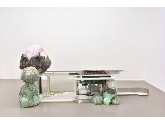 Quelques images de l'exposition personnelle de @thomasbuswell lauréat du prix @thaddaeusropac  pour les Amis des Beaux-Arts de Paris en 2024 @galerie_suzanne_tarasieve

« Un vert pas très frais tendance vert-de-gris domine dans l’œuvre multicolore de Thomas Buswell () . Il apparaît par touches expressionnistes denses sur des tubes métalliques ou plus diffuses sur des serpillères. Presque partout, cet agent ambigu dépose sa marque invasive. Il est comme ces vergerettes, qui lorsqu’on a appris à les différencier des pâquerettes, s’infiltrent dans tous nos regards à la campagne et le long des voies de chemin de fer. » […]
Sylvain Ménetrey @gou_goush

#cpga #thomasbuswell #startingsunday #semainedelart #galeriesuzannetarasieve #artcontemporain #contemporaryart #pgmap #ouverture

📸 @rebeccafanuelephoto